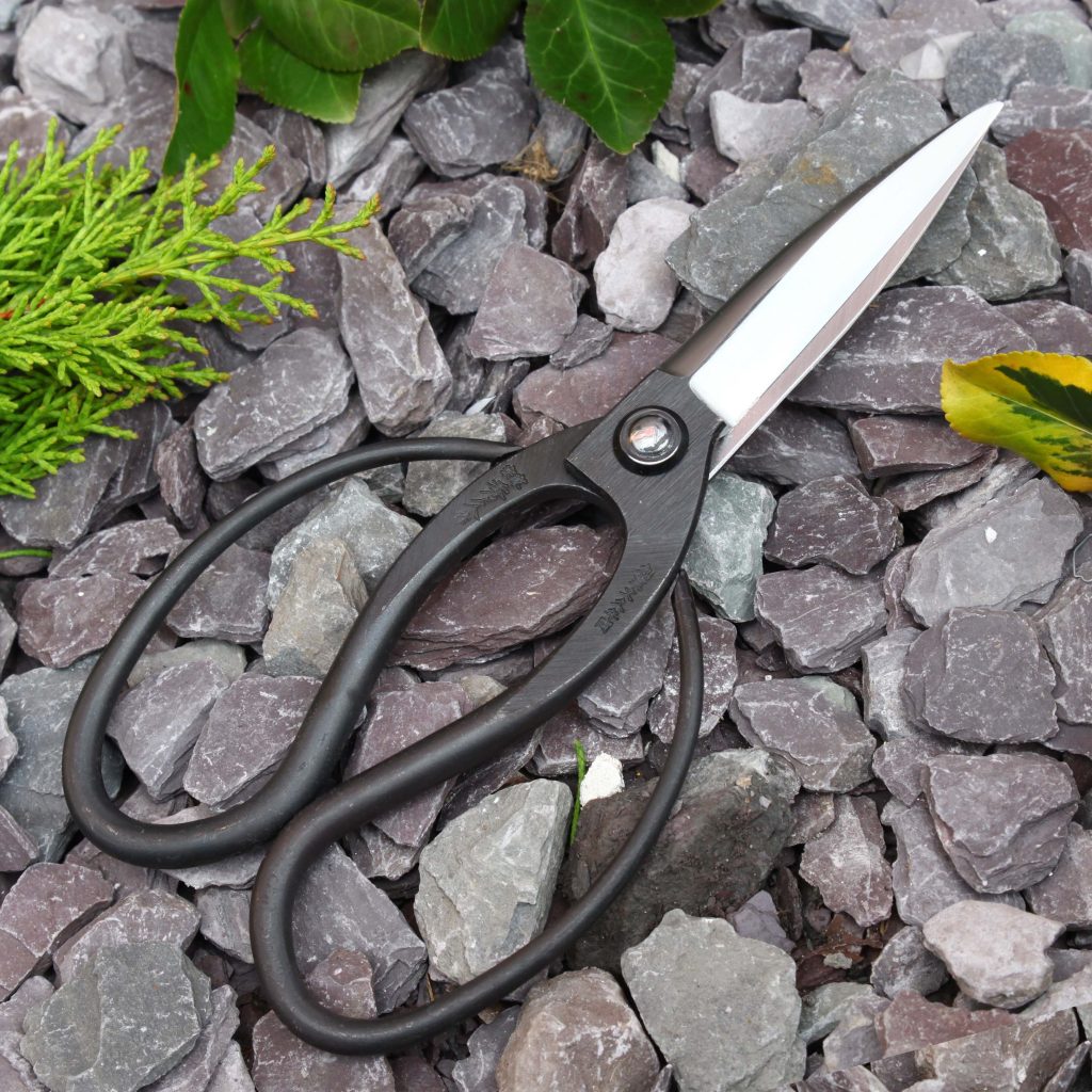 Suwada Okubo Shears T-5