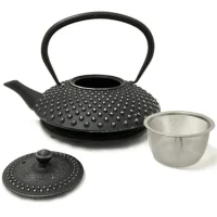 Silver-Black Cast Iron Teapot