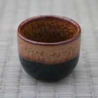 Sake Cup - Tenmoku Kincha Nagashi