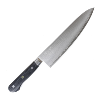 Shoichi SG2 Gyuto 210mm