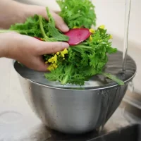 Conte Bowl + Strainer Tray (3 sizes)
