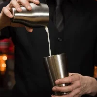Mezclar French Cocktail Shaker Satin 600ml
