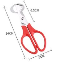 Quil Egg Scissors