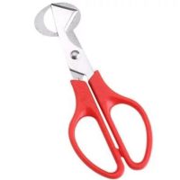 Quil Egg Scissors