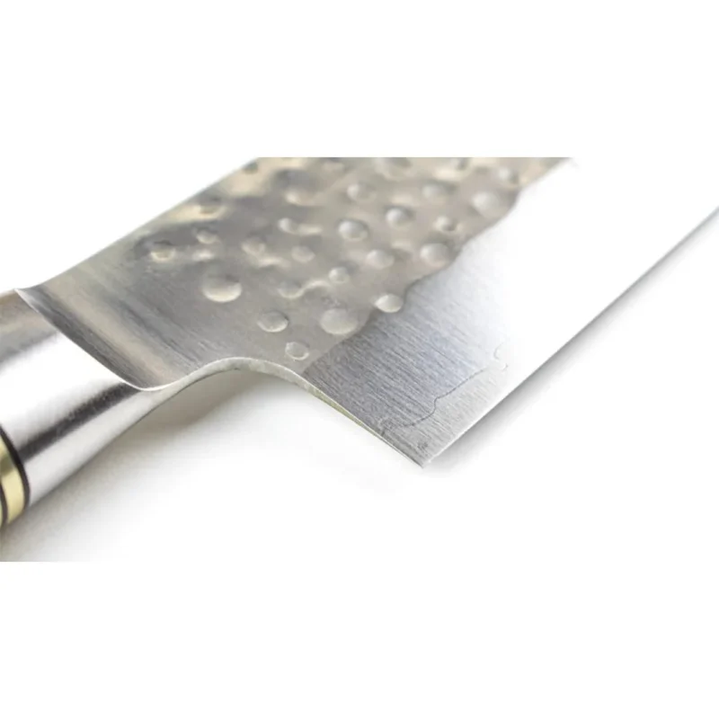 Saji SG2 3 layers Gyuto 210