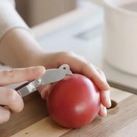 Kajidonya Citrus Peeler