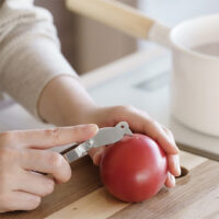 Kajidonya Citrus Peeler
