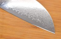 Tomohiro Gyuto