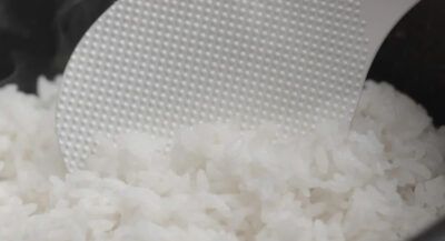 Rice Paddle Plastic