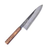 Tanaka Aogami 1 Gyuto 210mm