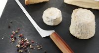 Triangle Cheese Knife