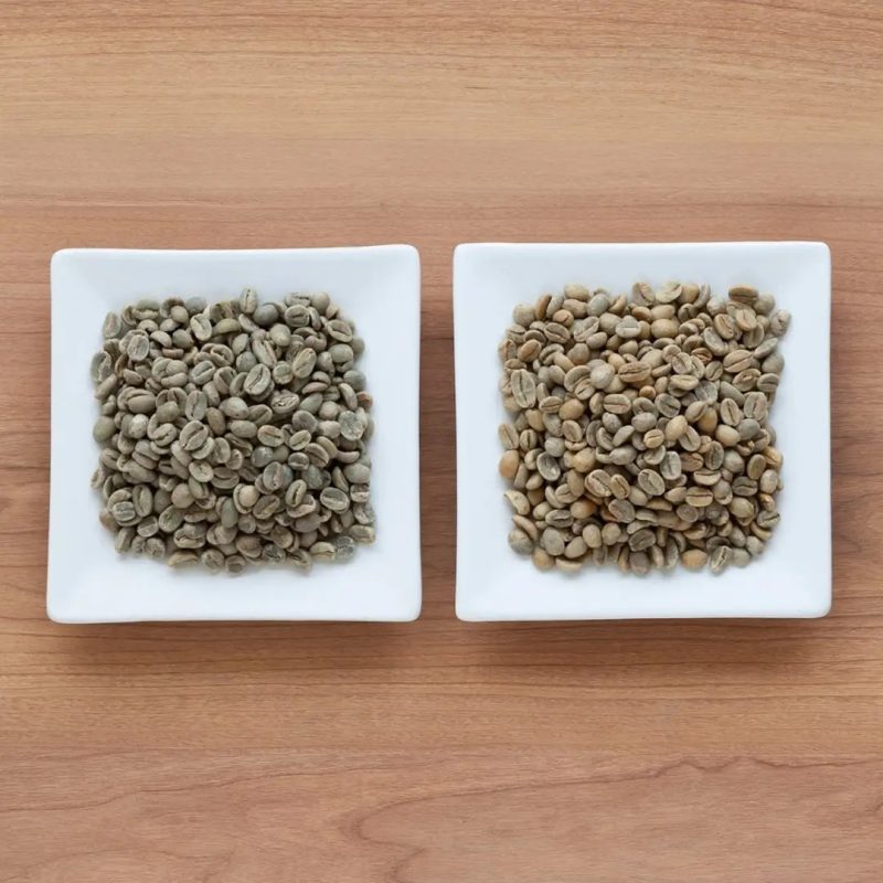 Kogu Coffee Roaster