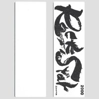 shapton rockstar 2000 grit-2