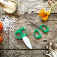 FRIDGE MAGNET RADISH