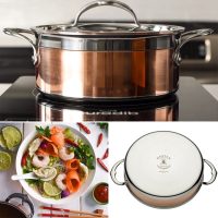 Hestan Copper Bond Soup Pot 20cm