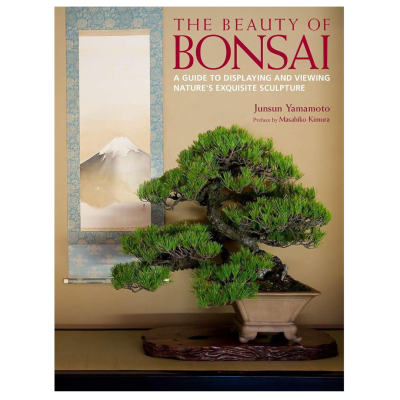 The Beauty of Bonsai