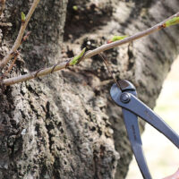 Bonsai Wire Cutter