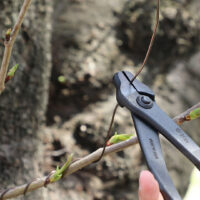 Bonsai Wire-Jin Pliers