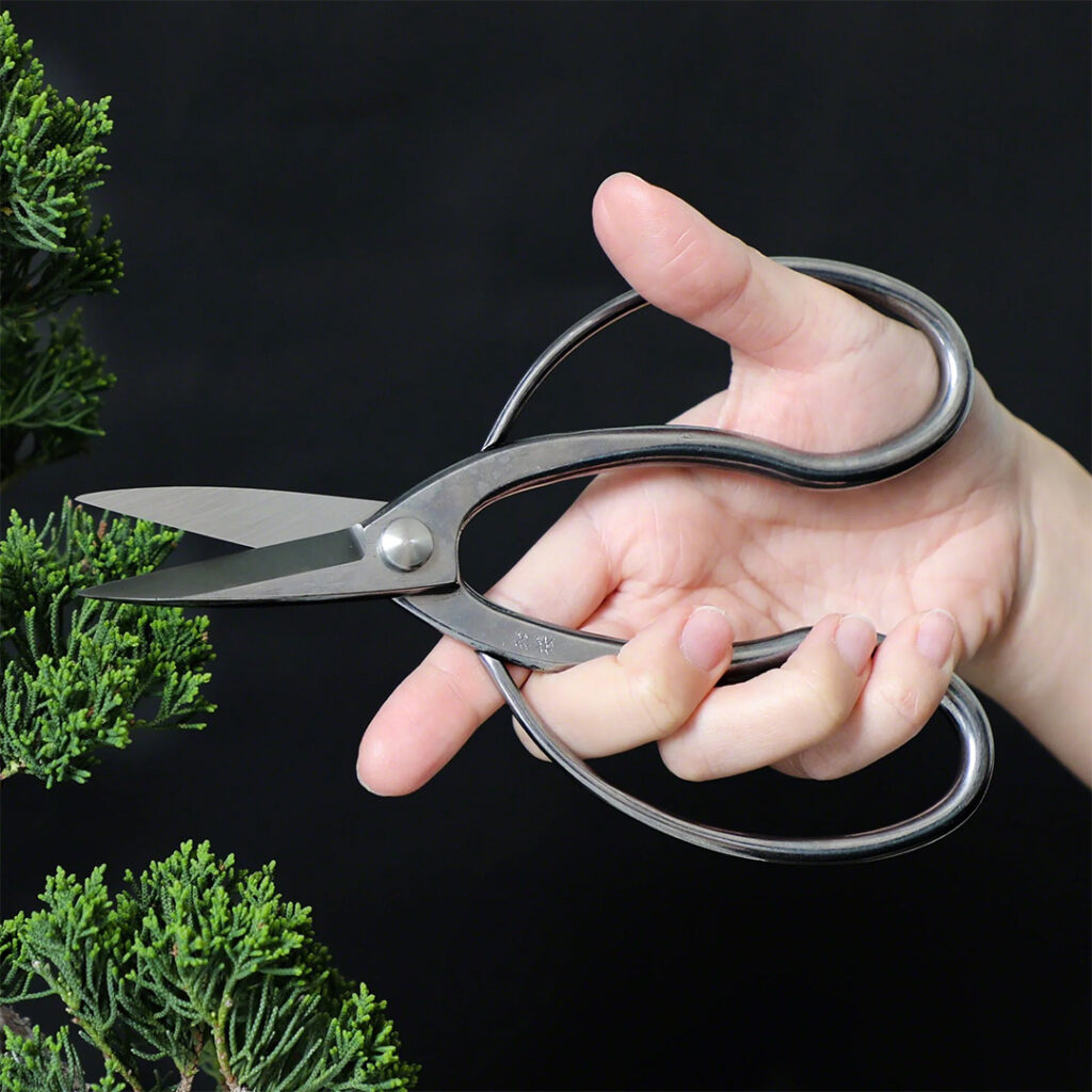 Traditional Japanese Bonsai Scissors