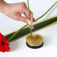 Wazakura Kenzan Radial-Shaped