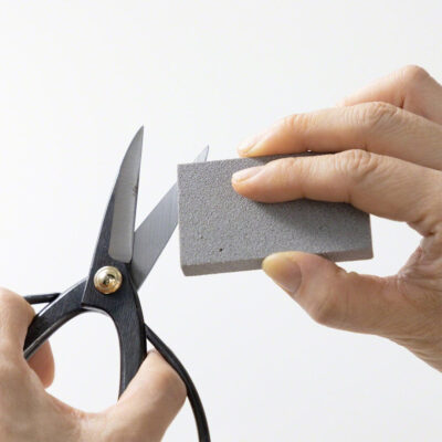 Wazakura Sap Eraser for Bonsai Gardening Tools