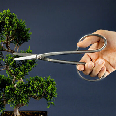 Wazakura Yasugi SLD Twig Bonsai Scissors