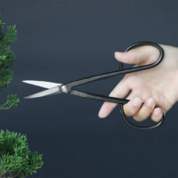 Wazakura Yasugi Twig Bonsai Scissors