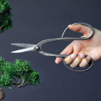 Yasugi SLD Traditional Bonsai Scissor
