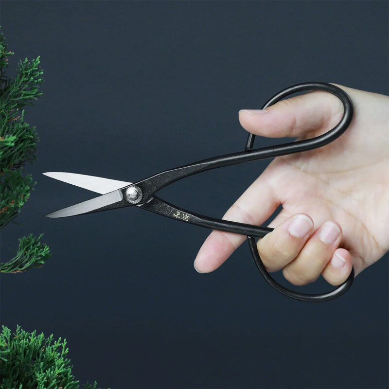 Buy Wazakura Yasugi Satsuki Bonsai Scissors 180mm - UK's Best Online Price