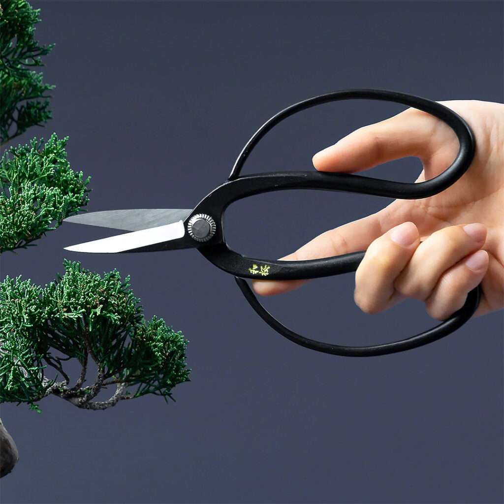 Wazakura Yasugi Traditional Bonsai Scissors 180mm