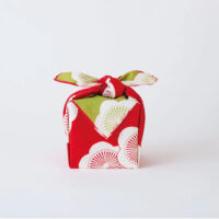 Gift Wrapping Japanese Apricot