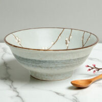 Hana Ramen Bowl