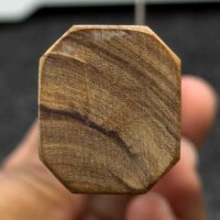 Pateru SG2 Kiritsuke