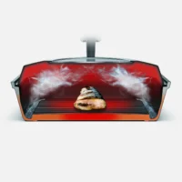 AUX Steam Cooker