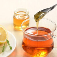 AUX Honey Spoon mini