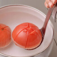 AUX Meat Kneader