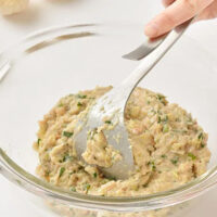 AUX Meat Kneader