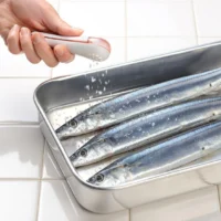 AUX Salt Sprinkler