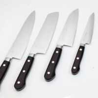 Pateru Warikomi Gyuto 210mm
