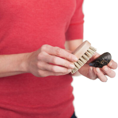 Mussel Brush