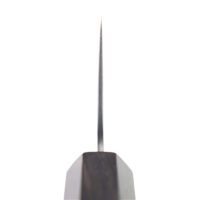 Kamoshiro Aogami Super Polished